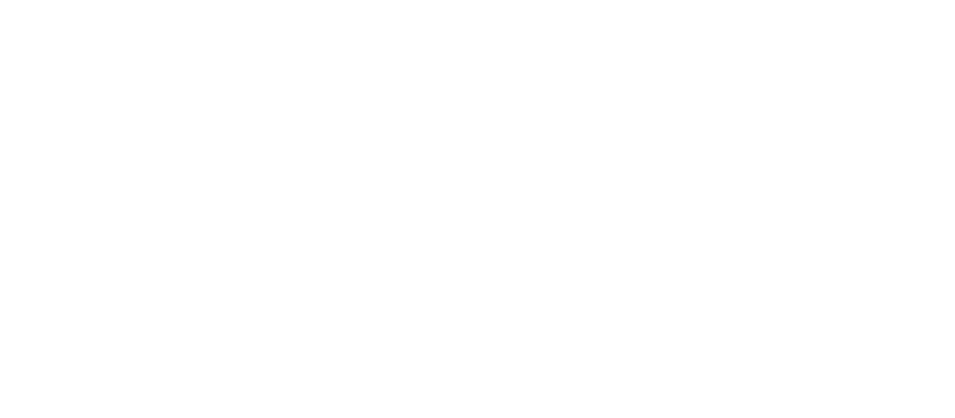 Logo Light